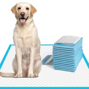 Petdom 60x60 Disposable Pet Pee Pads – Leak-Proof Puppy Training Pads for Dogs and Cats – Eco-Friendly, Portable, with Removable Cover – Empapadores Perro OEM Wholesale