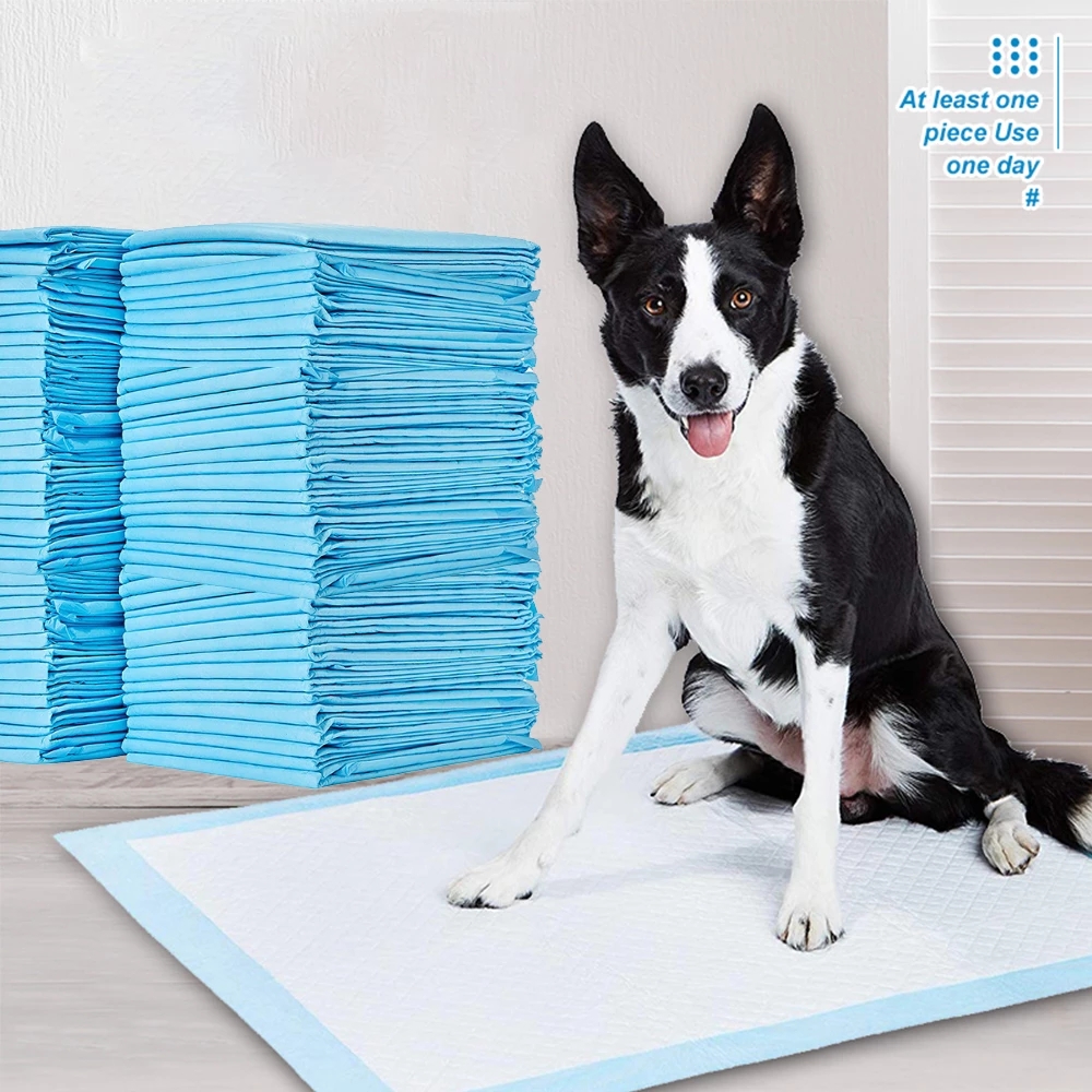 Petdom 60x60 Disposable Pet Pee Pads – Leak-Proof Puppy Training Pads for Dogs and Cats – Eco-Friendly, Portable, with Removable Cover – Empapadores Perro OEM Wholesale - Image 4