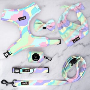 Custom Dog Collar and Matching Leash Set with Rubber Logo – Adjustable, Breathable, Personalized Pet Harness for Dogs & Cats